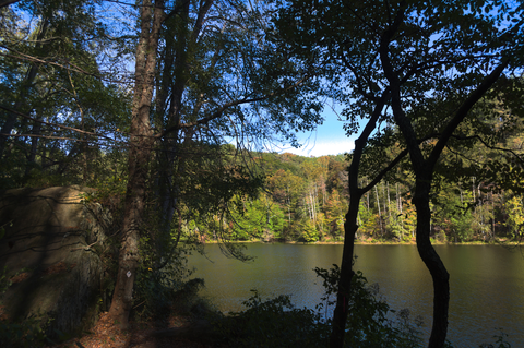 An image depicting the trail Lake Shore Trail and its surrounding area.