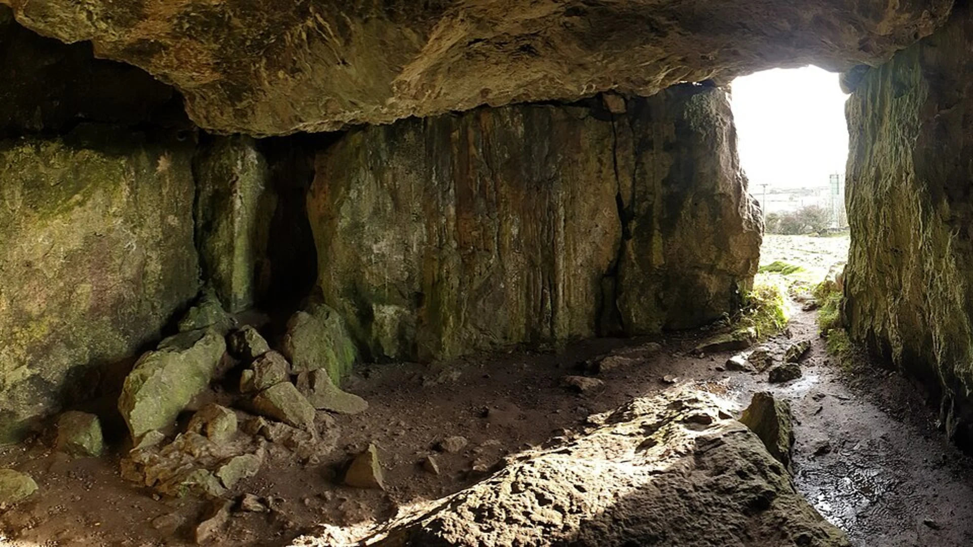 An image depicting the trail Minninglow, Longcliffe and Aldwark Loop and its surrounding area.