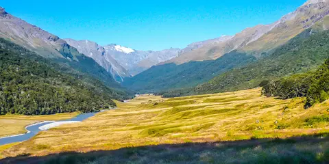 An image depicting the trail Rees - Dart Track and its surrounding area.