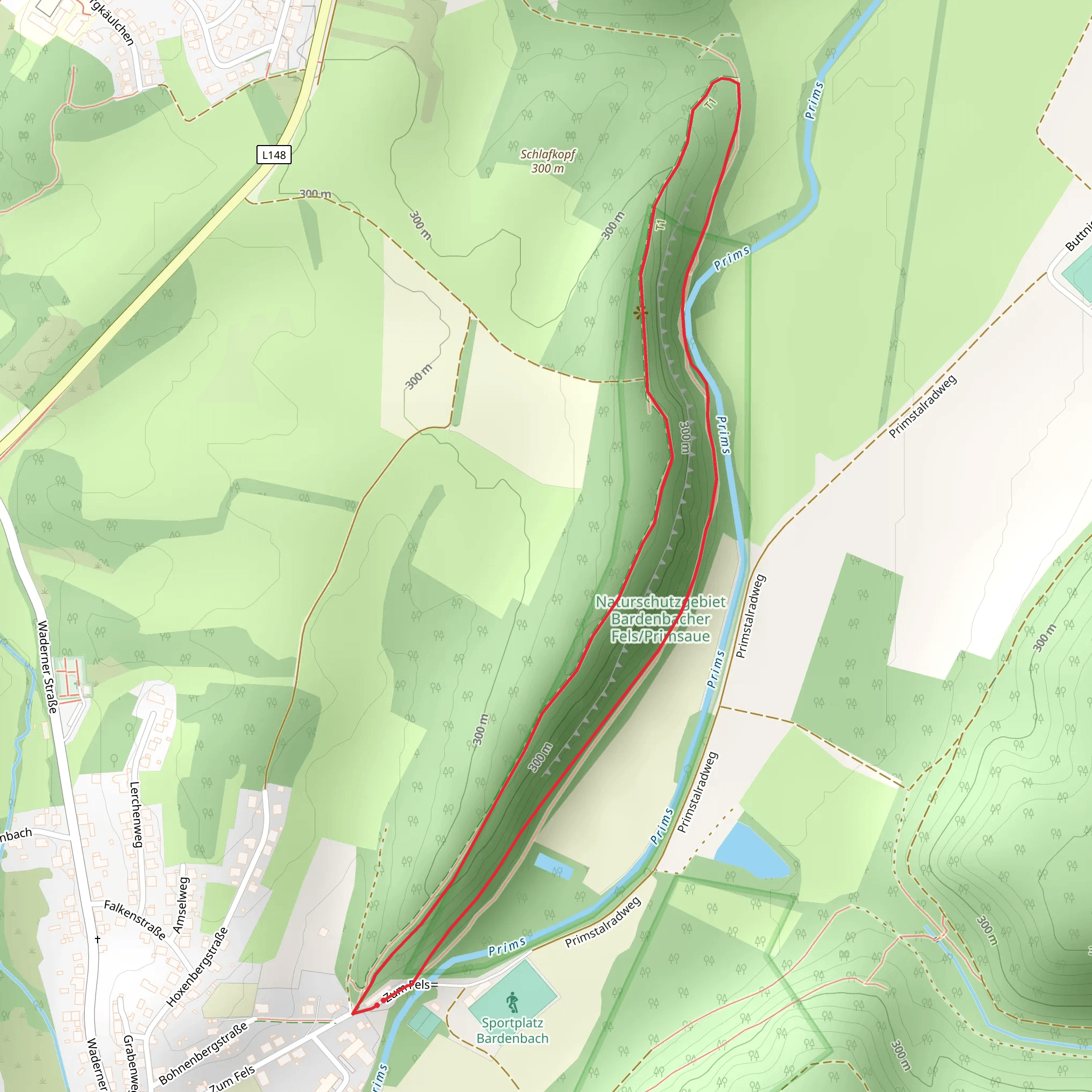 Naturschutzgebiet Bardenbacher Fels-Primsaue Loop mobile static map