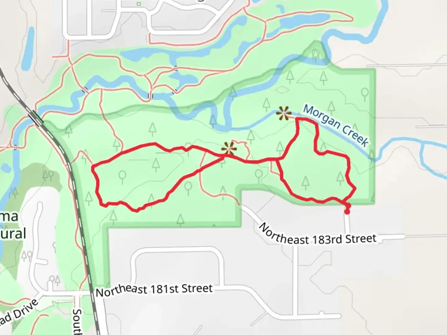 An image depicting the trail Alder Loop Trail and its surrounding area.