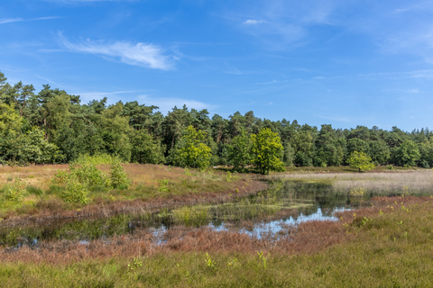 Luchensche Heide and Molenheide Loop