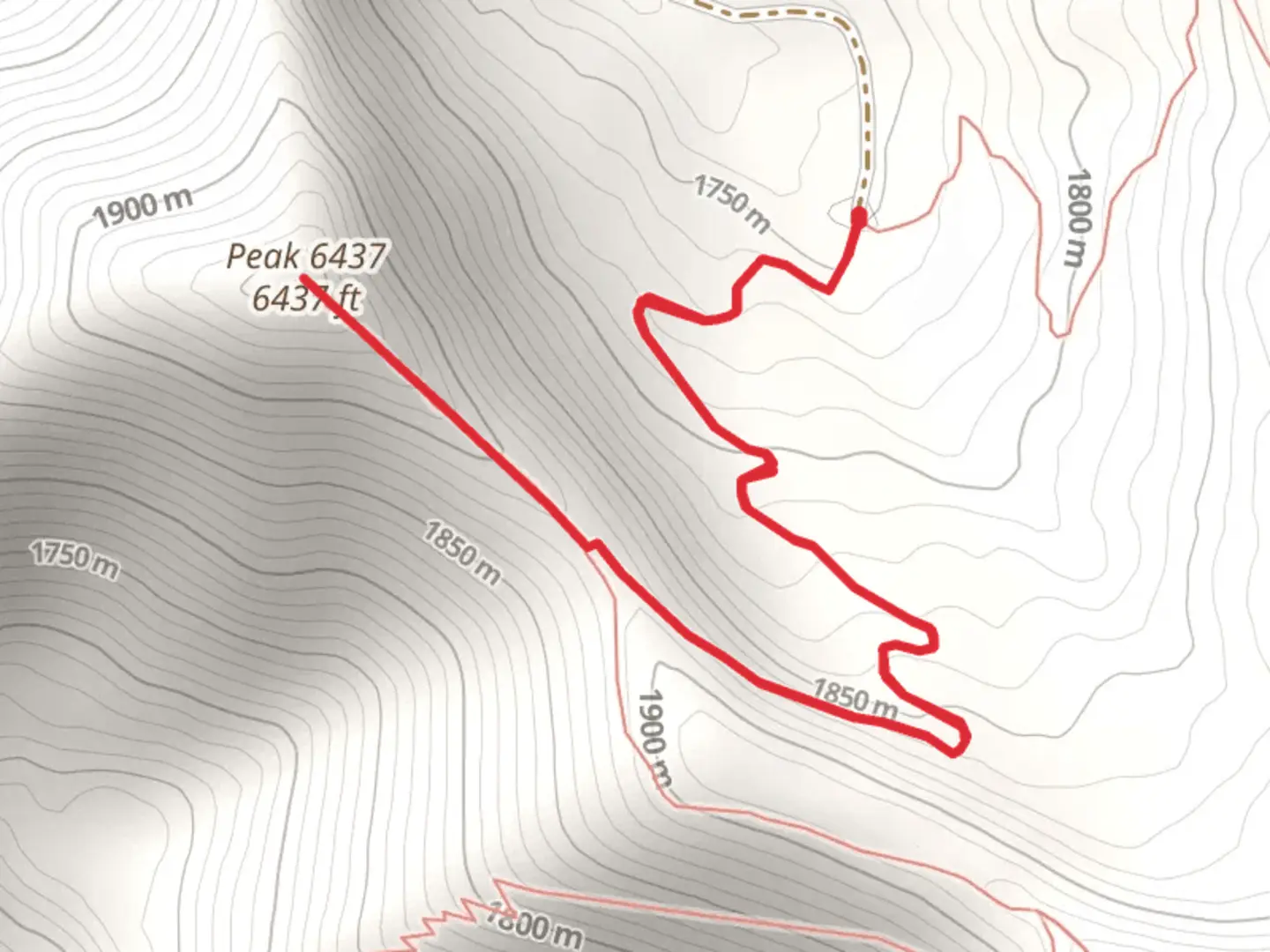 An image depicting the trail Jewel Basin Road and its surrounding area.