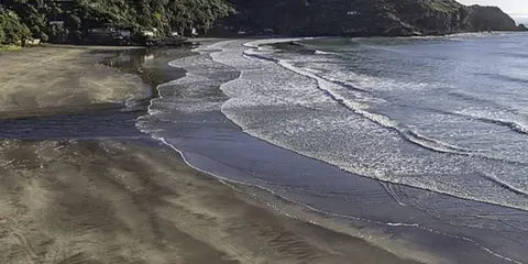 An image depicting the trail Anaconda Track and its surrounding area.