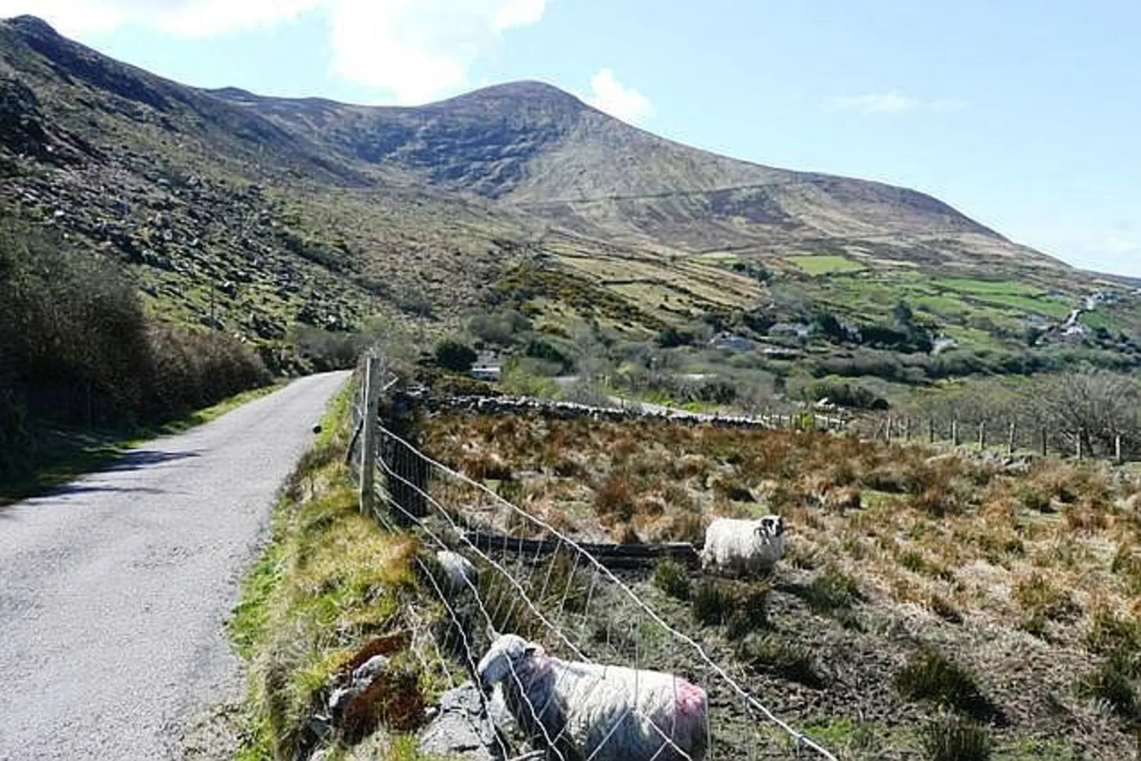 An image depicting the trail Beenmore Loop via The Kerry Way and its surrounding area.