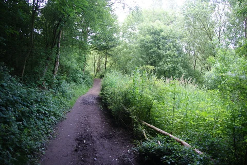 Brook Bottom Circular Path