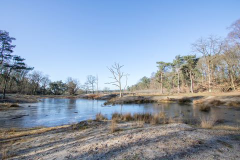 Nistelrooise Baan, Het Hurkske, Schaijksche Heide and Trentsche Bosschen Loop