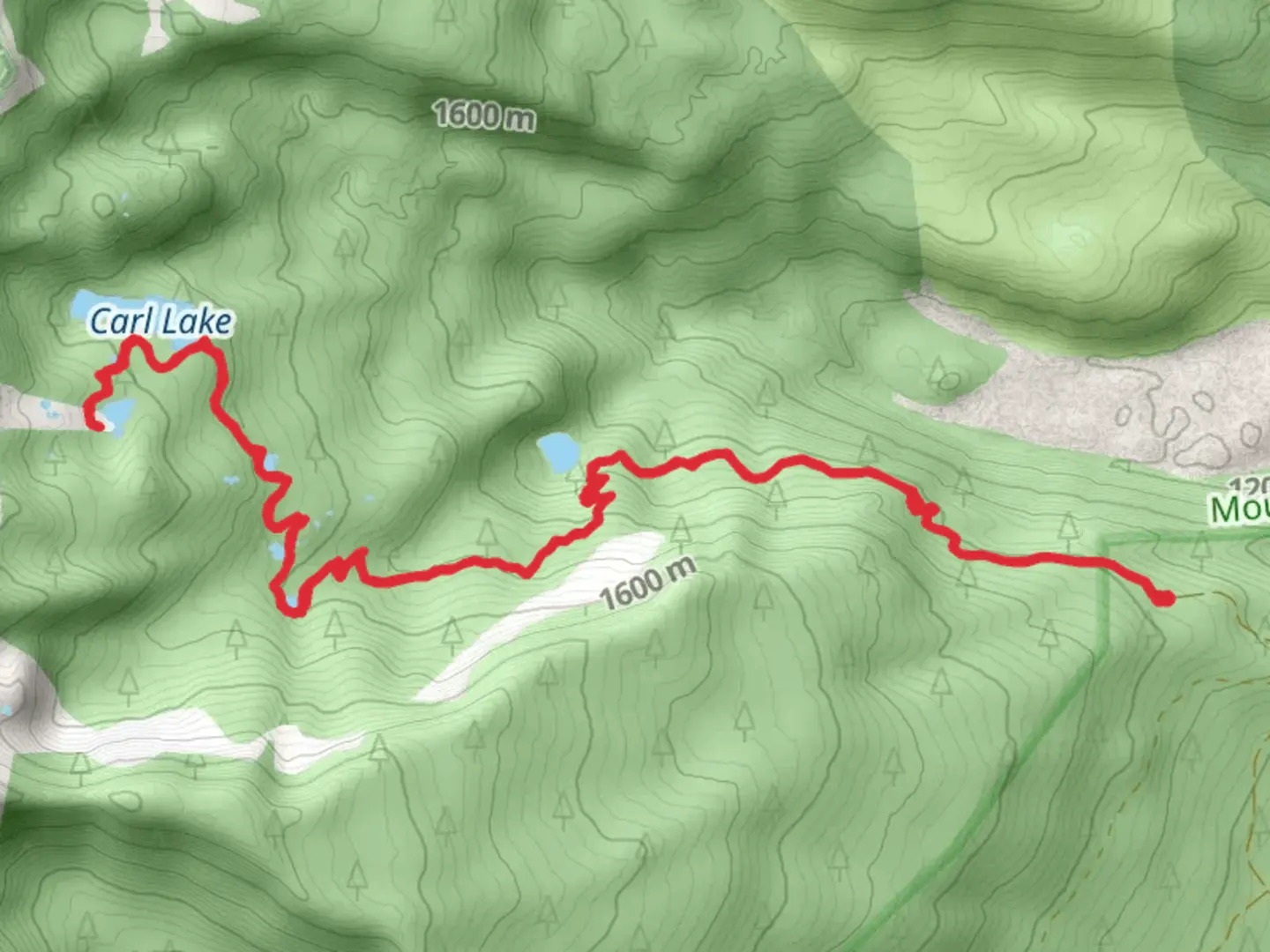 An image depicting the trail Shirley Lake via Carl Lakes Trail and its surrounding area.