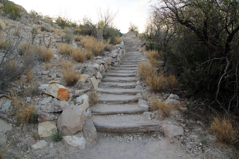 An image depicting the trail Rio Grande Village Nature Trail and its surrounding area.