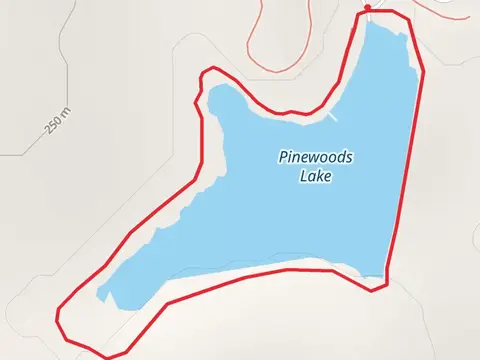 Pinewoods Lake Loop