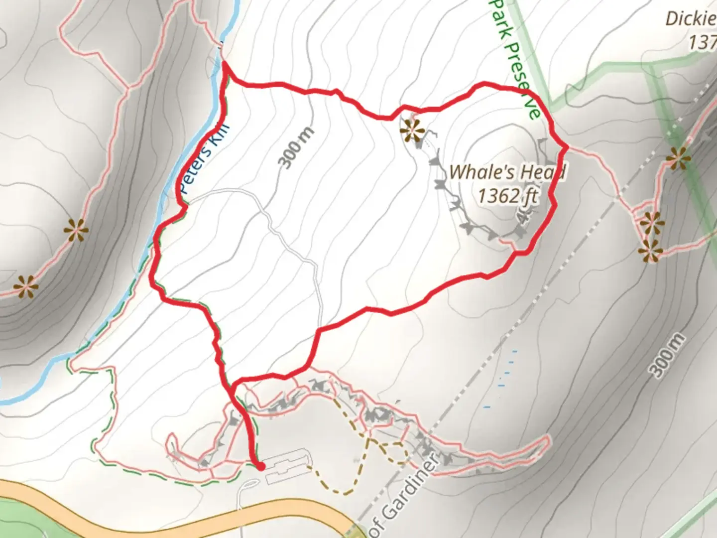 An image depicting the trail Whale's Head Summit Loop and its surrounding area.