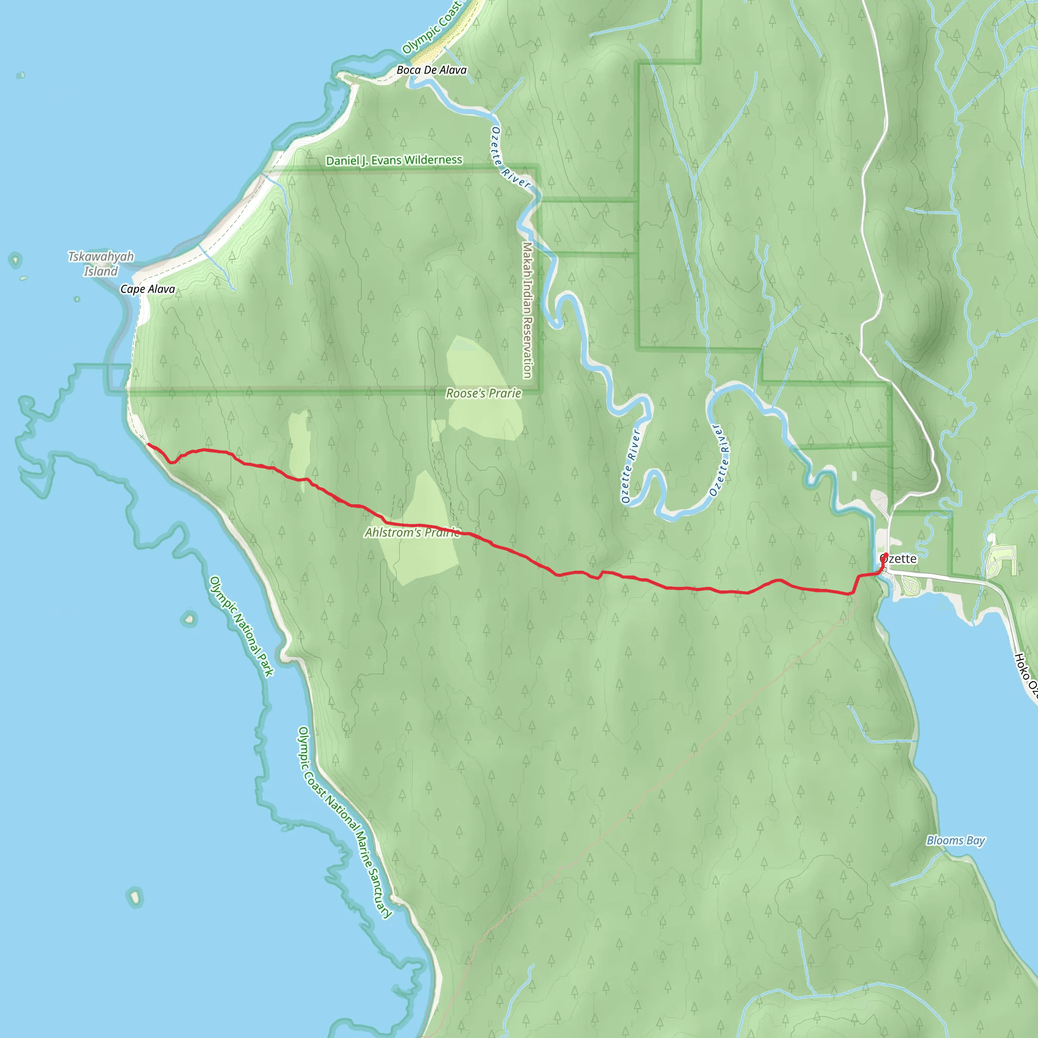 Cape Alava Trail mobile static map
