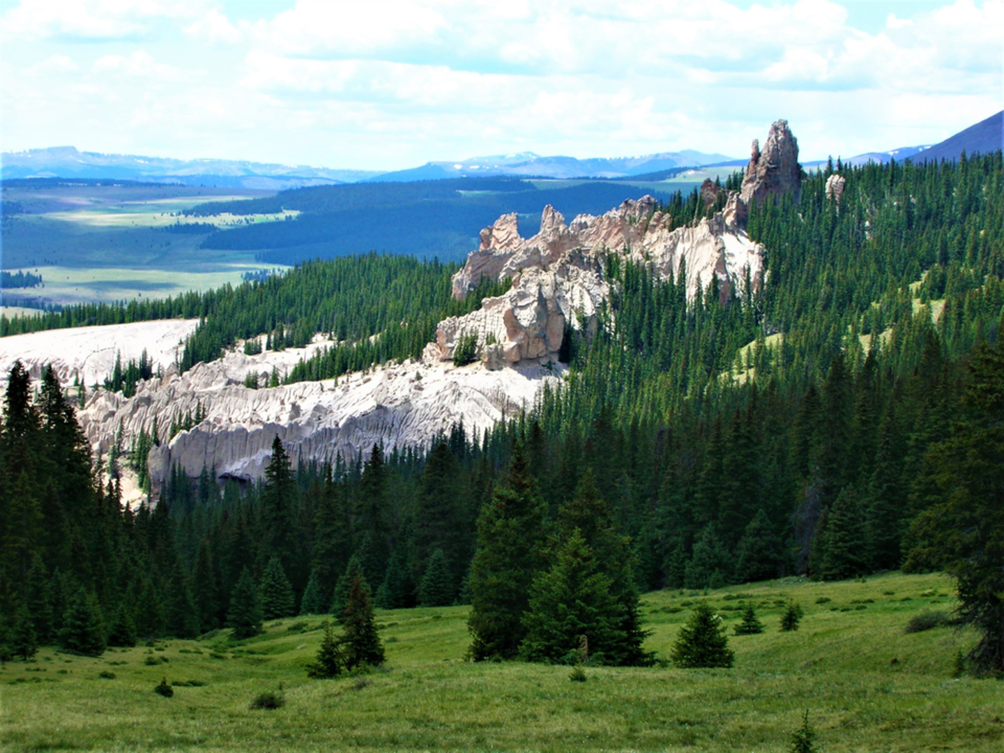 An image depicting the trail Whale Creek Trail and its surrounding area.