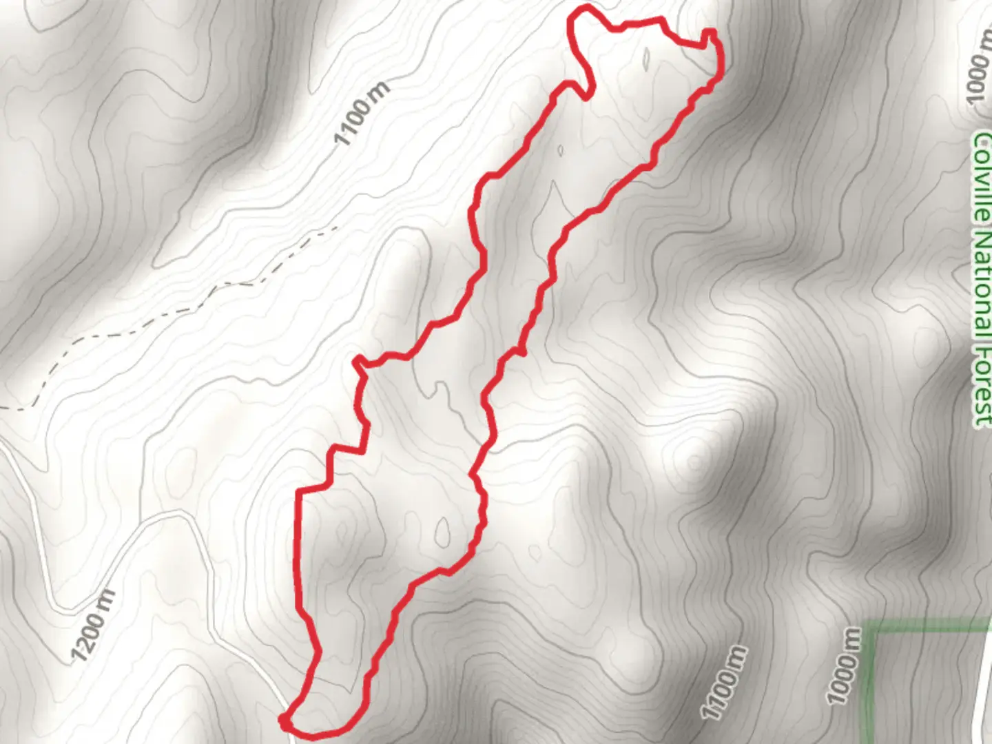 An image depicting the trail Virginia Lilly Trail and its surrounding area.