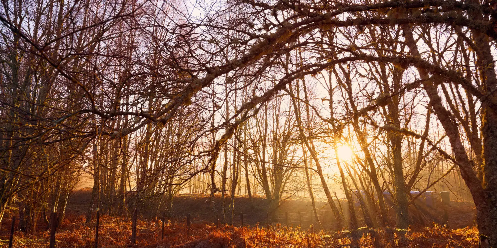 An image depicting the trail Geal-charn Mor from Aviemore and its surrounding area.
