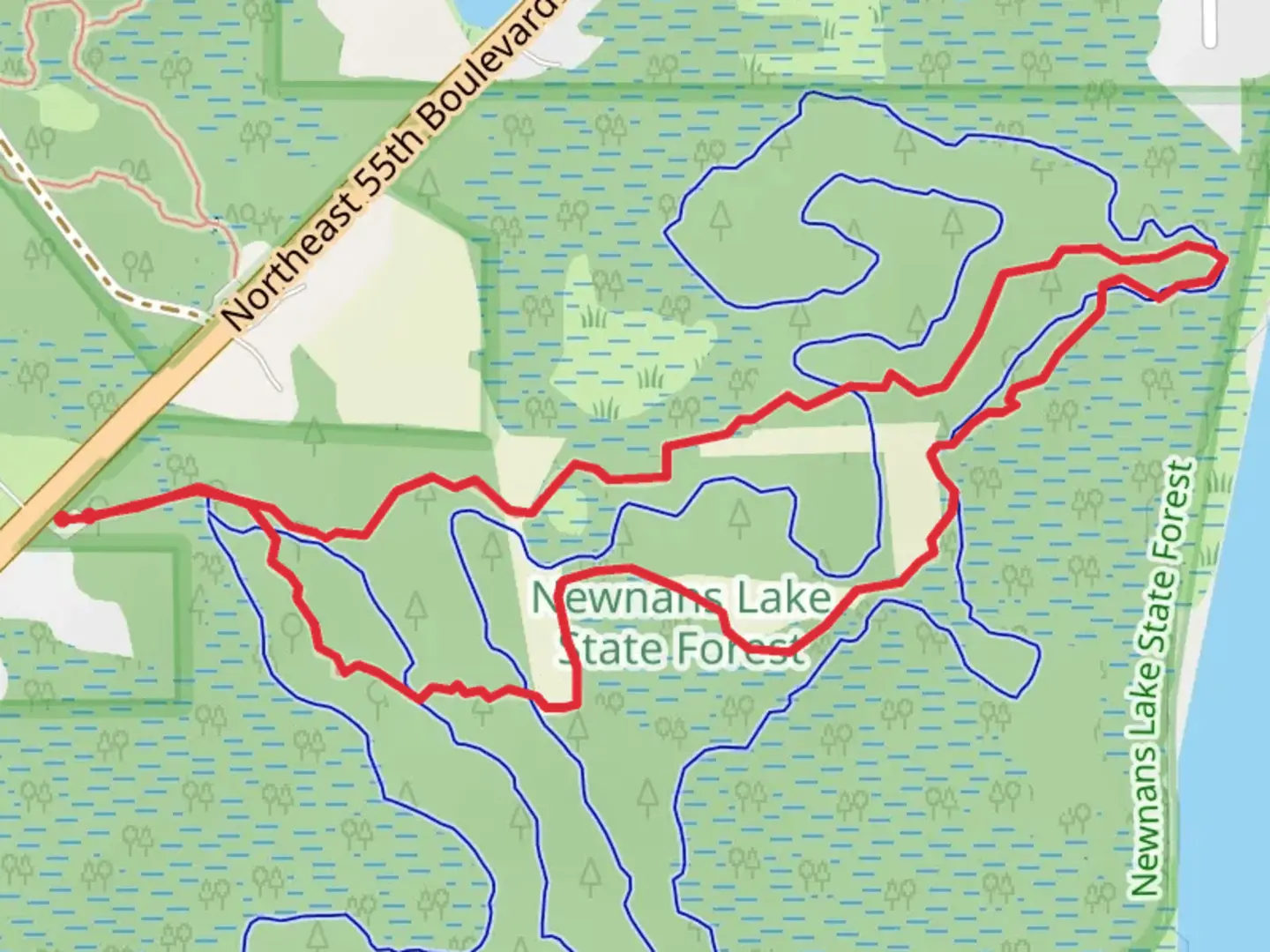 An image depicting the trail Lake Pithlachocco Loop Trail and its surrounding area.