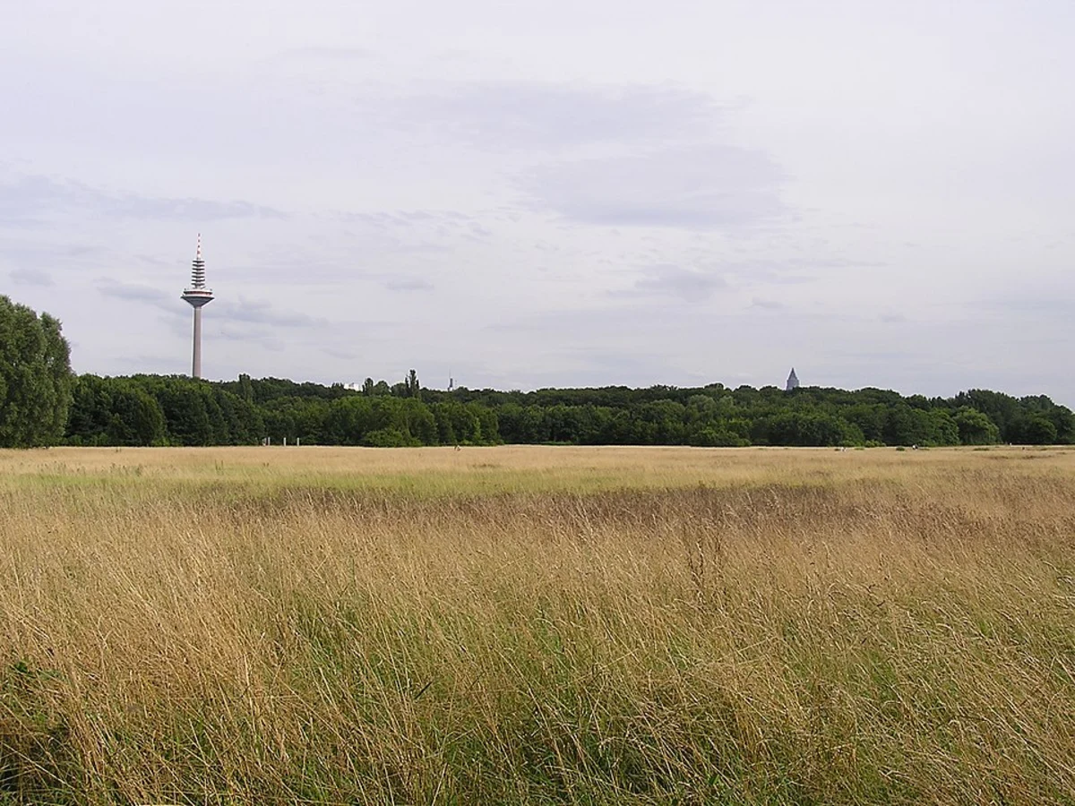 Rebstockweiher and Nidda Loop via Lauftreff Ginnheim and Gruenguetel Wanderweg