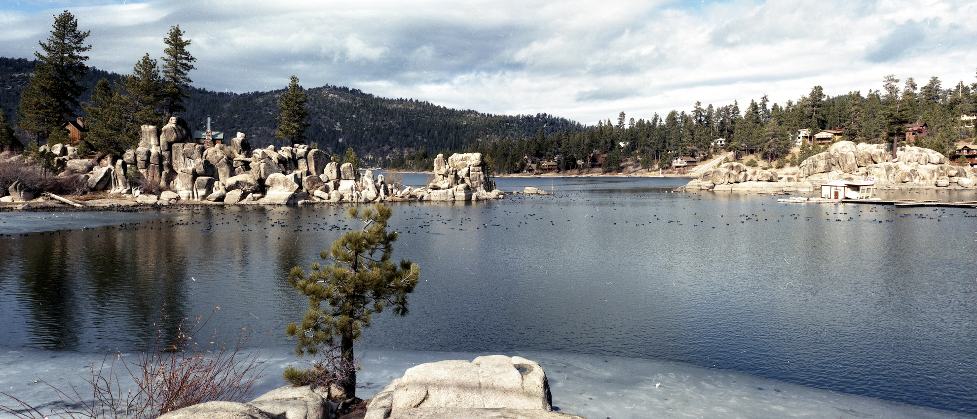 An image depicting the trail Woodland Interpretive Loop Trail and its surrounding area.
