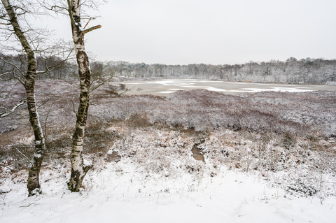 Mooi Zeegse, Siepelveen and Kniphorsbosch Loop