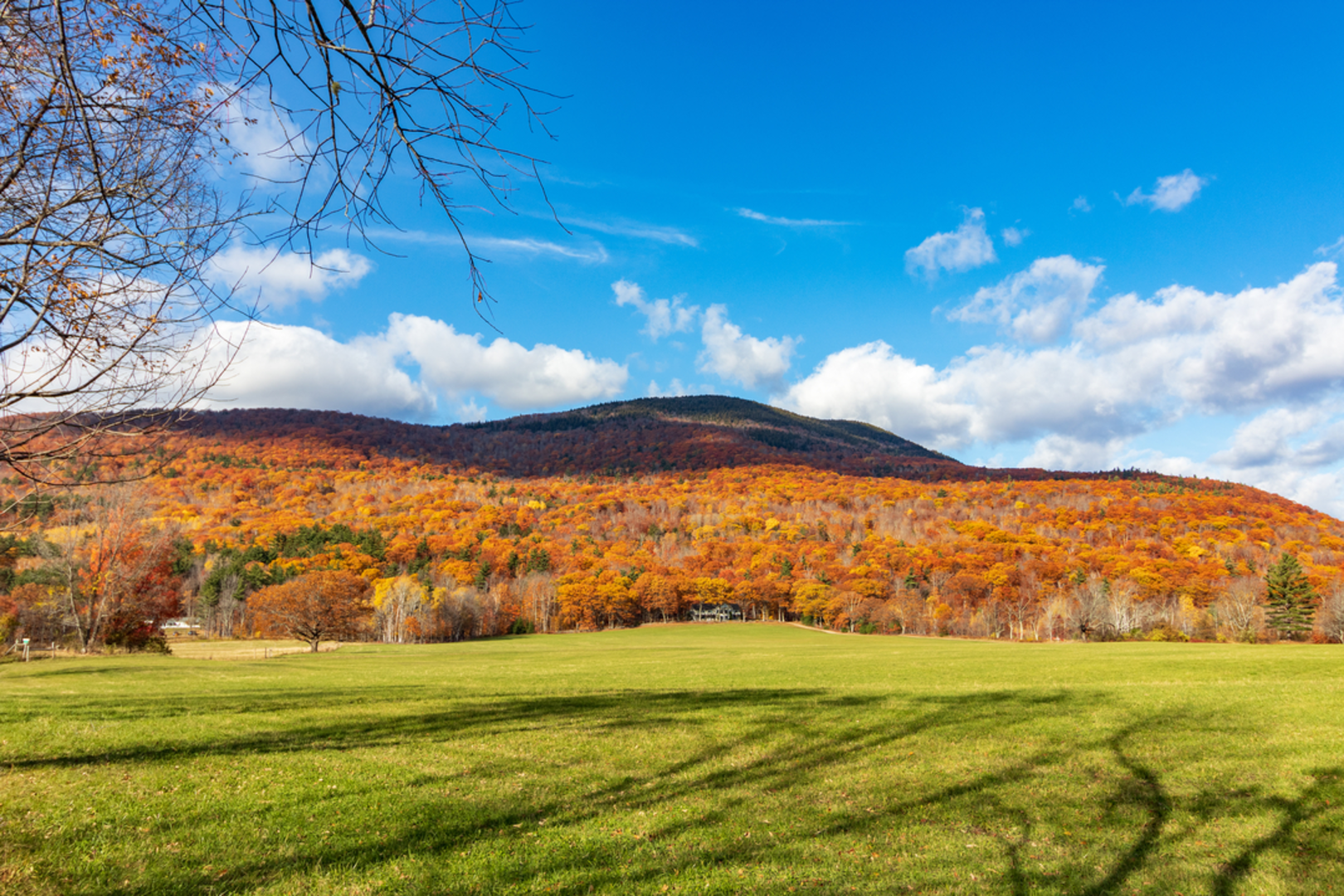 An image depicting the trail Mount Israel via Wentworth Trail and its surrounding area.