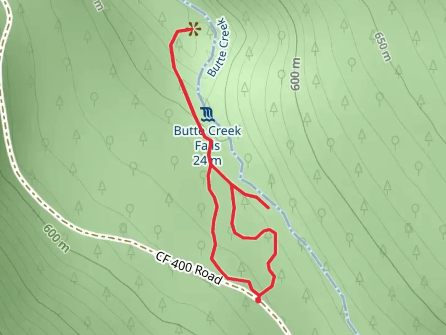An image depicting the trail Butte Creek Falls Trail Loop and its surrounding area.