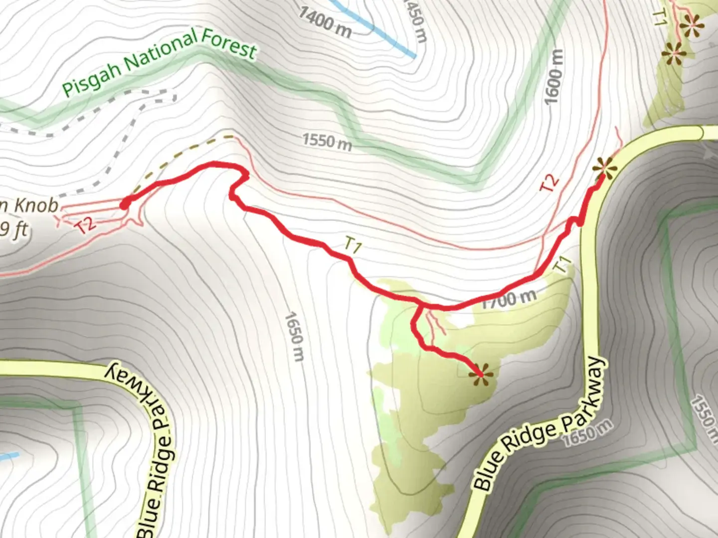 An image depicting the trail Craggy Gardens Trail and its surrounding area.
