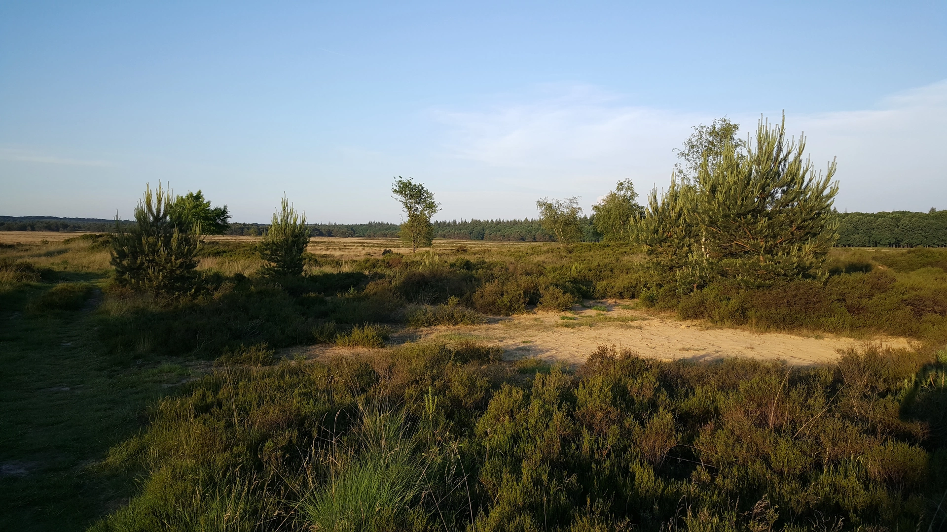 An image depicting the trail Grafheuvels, Het Wijde Veld and Mechelsche Kuil Loop and its surrounding area.
