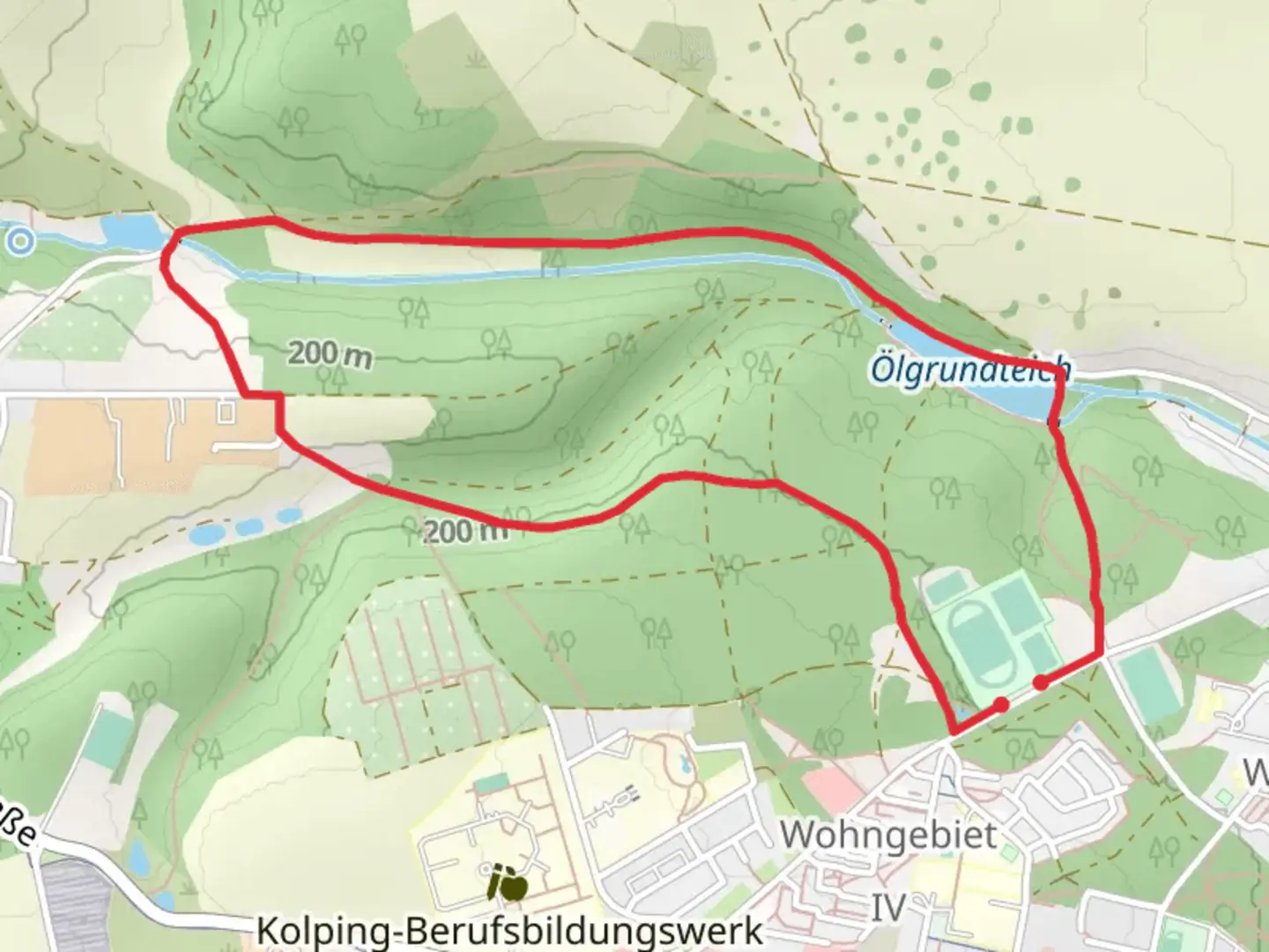 An image depicting the trail Ölgrundteich Loop and its surrounding area.