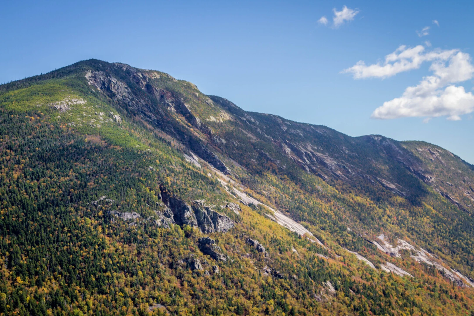 An image depicting the trail Mount Willey via Kedron Flume Trail and its surrounding area.