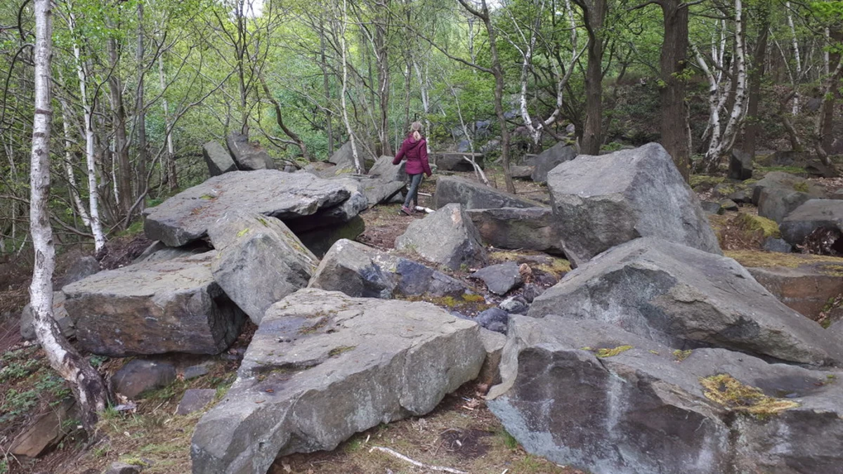 Hawksworth Wood Loop