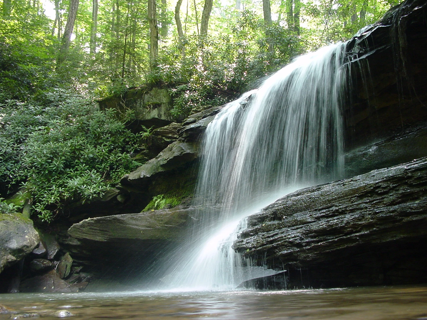 An image depicting the trail Jonathan Falls and Sugar Run Falls Loop and its surrounding area.