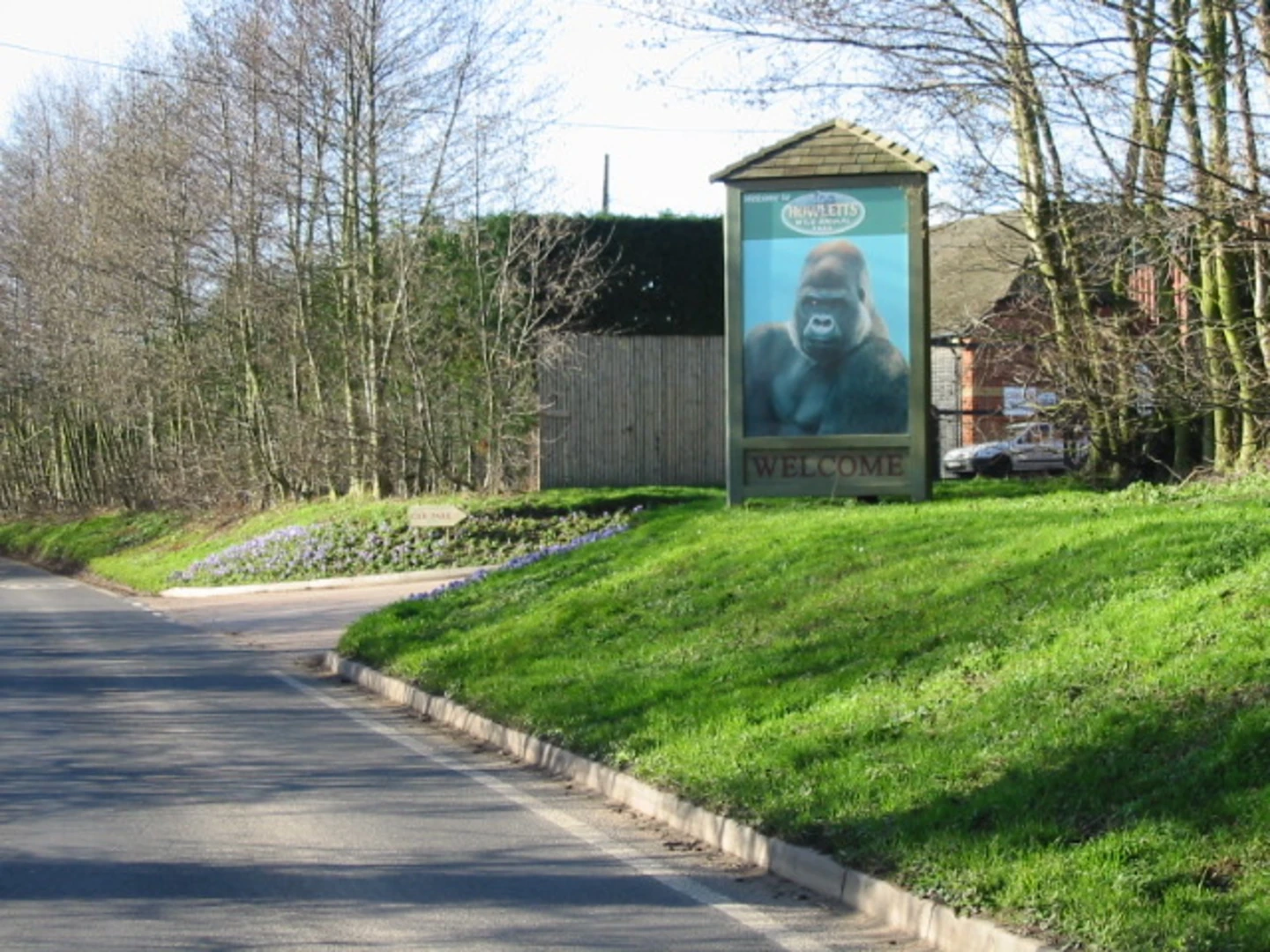 An image depicting the trail Howletts Wild and Pine Wood Loop and its surrounding area.