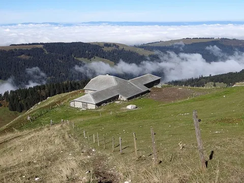 An image depicting the trail Moléson Village to Gruyères Trail and its surrounding area.