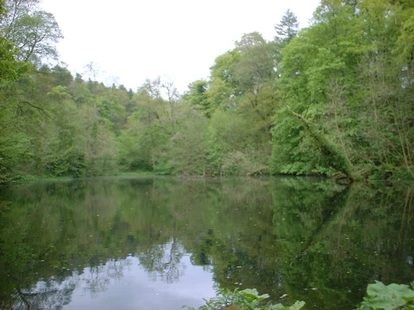 An image depicting the trail Skipton Wood and Long Dam Loop and its surrounding area.