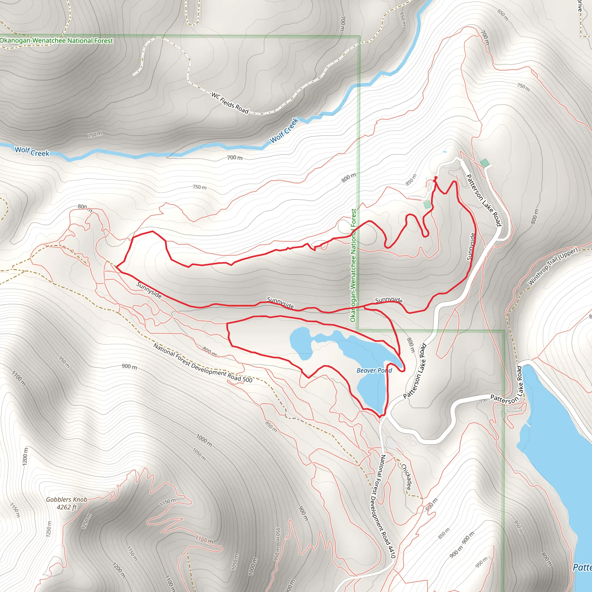 View Ridge, Beaver Pond and Sunnyside Loop mobile static map