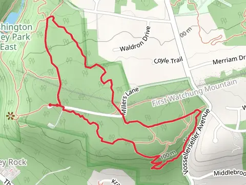 Green Top and Yellow Exterior Loop