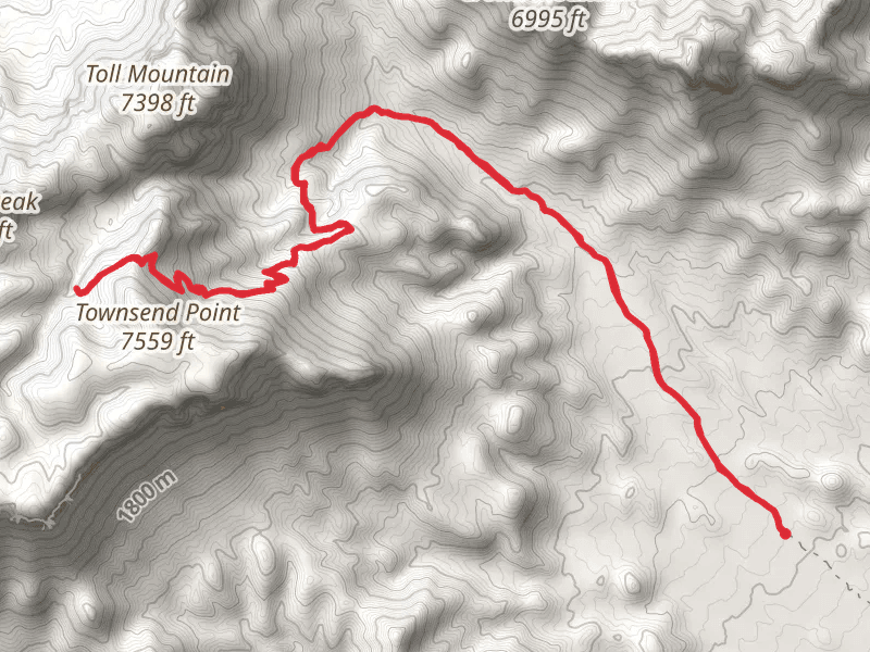 Juniper Canyon Out and Back Trail