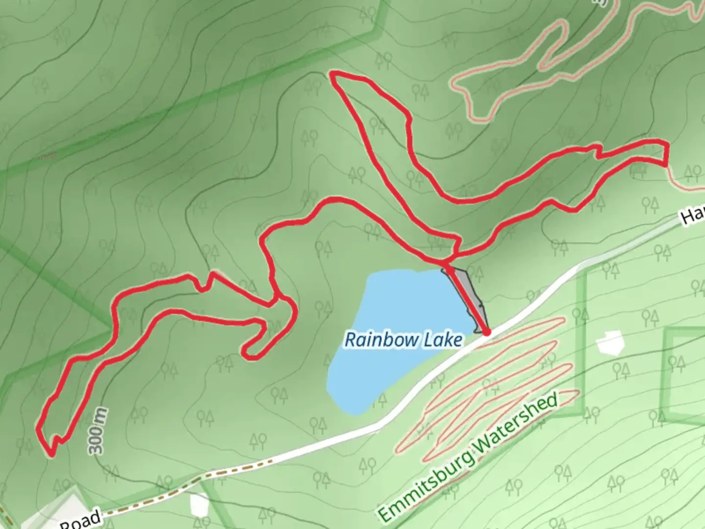 An image depicting the trail Beginner Intermediate Trail and Intermiediate Trail and its surrounding area.