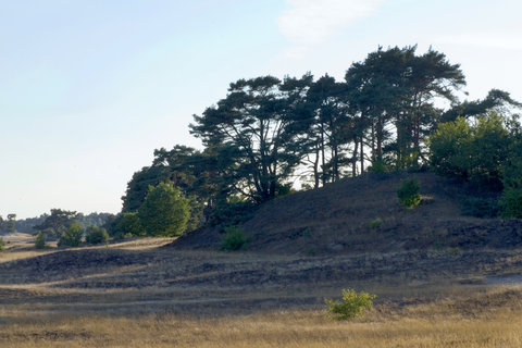 Kootwijk to Veentje via Huigenbosche and Harskamperdennen