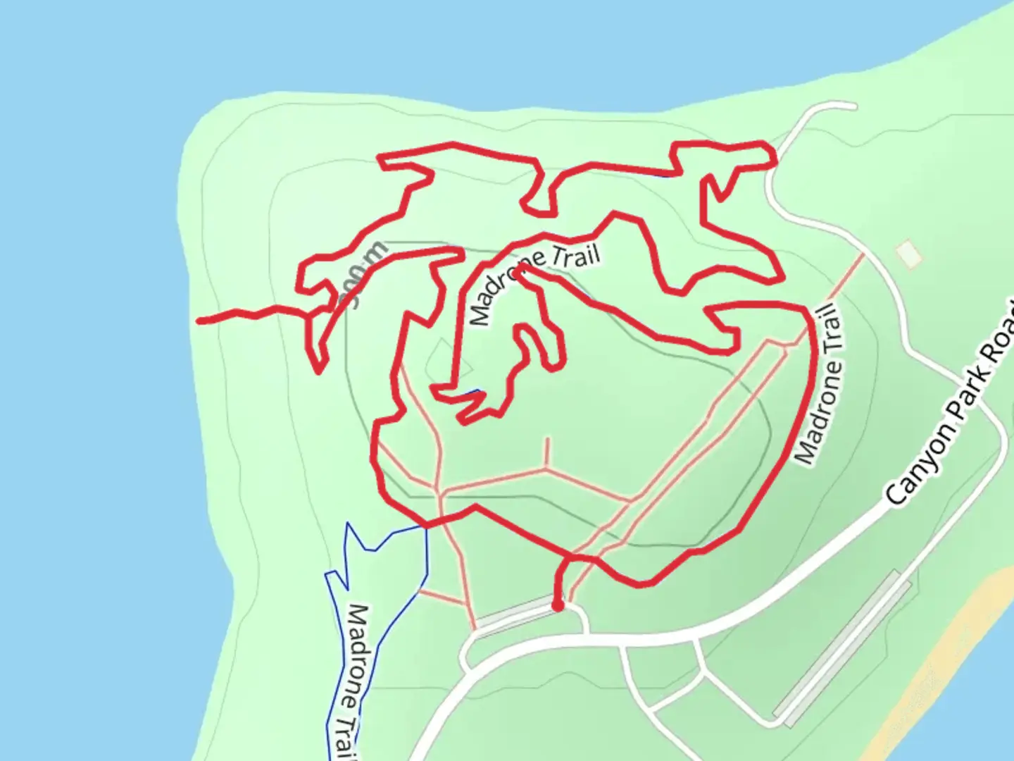 An image depicting the trail Madrone Loop Trail and its surrounding area.