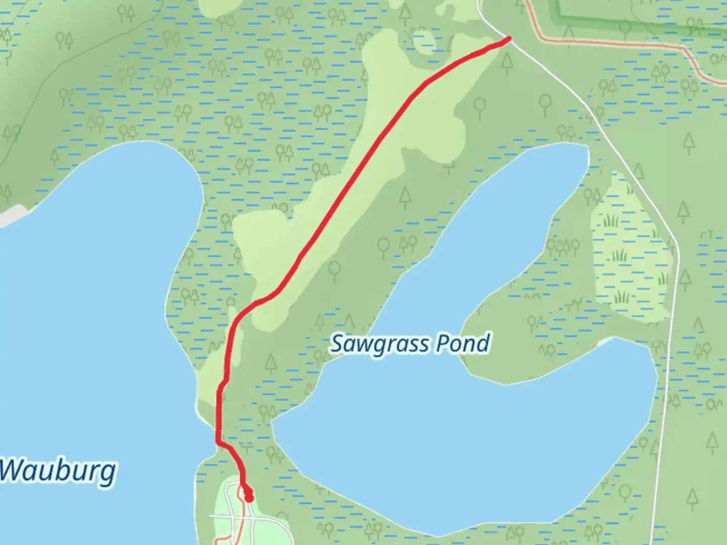 An image depicting the trail Lake Wauburg Trail and its surrounding area.