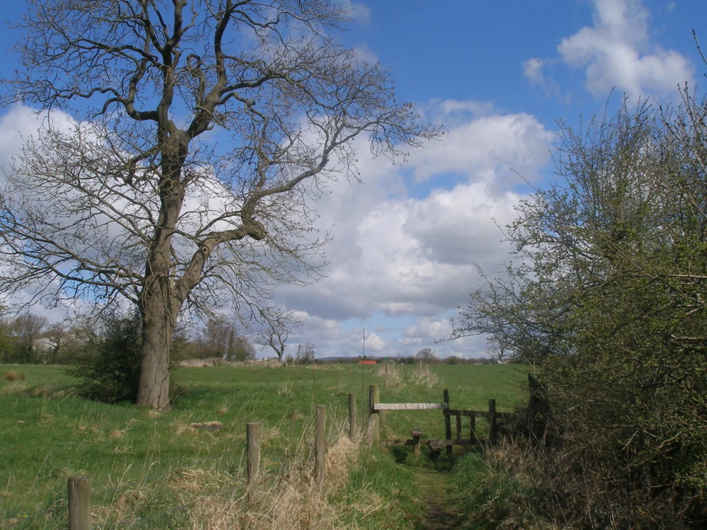 An image depicting the trail Preston, Samlesbury and Broughton Circular Walk via River Ribble and its surrounding area.