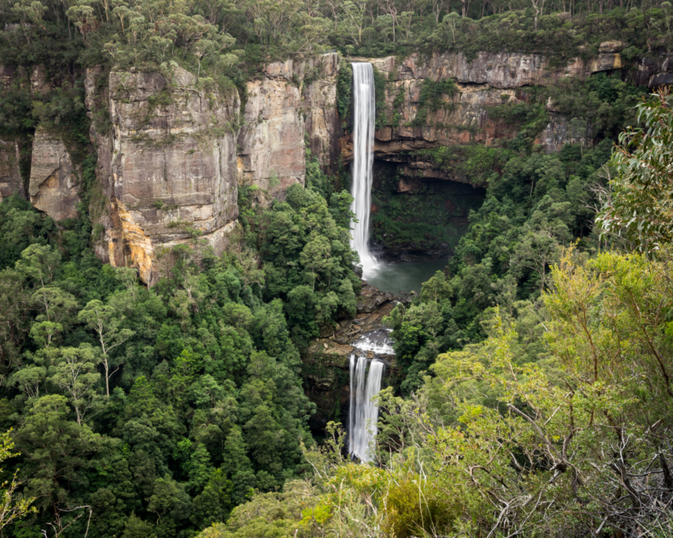 An image depicting the trail Belmore Falls Track and its surrounding area.