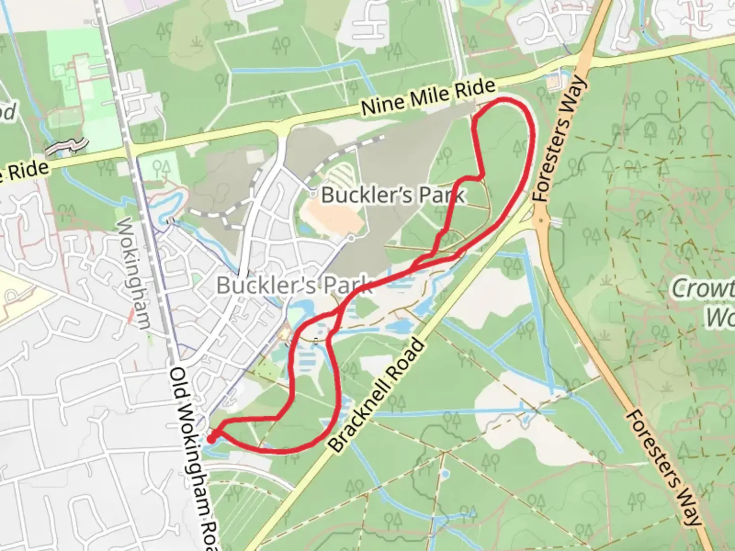 An image depicting the trail Buckler's Forest Loop and its surrounding area.