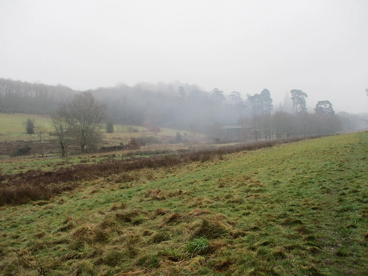 An image depicting the trail Arts Centre, Vale Wood and Billingshurst Sta and its surrounding area.