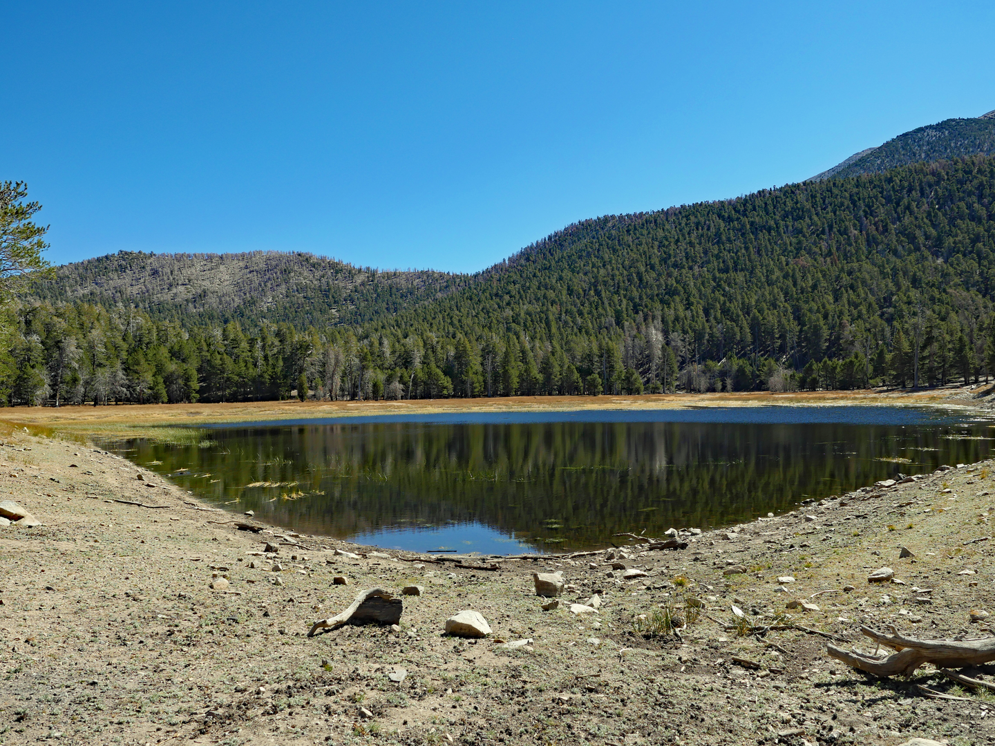 An image depicting the trail East Fork Lake Trail and its surrounding area.
