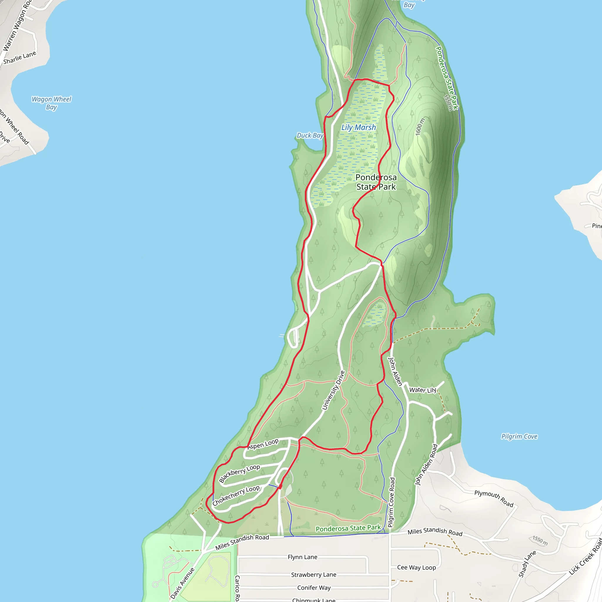 Peninsula Trail and Lilly Marsh Trail mobile static map