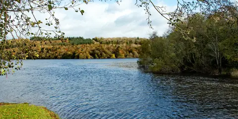 An image depicting the trail Killykeen Forest Park - Gartanoul Shore Walk and its surrounding area.