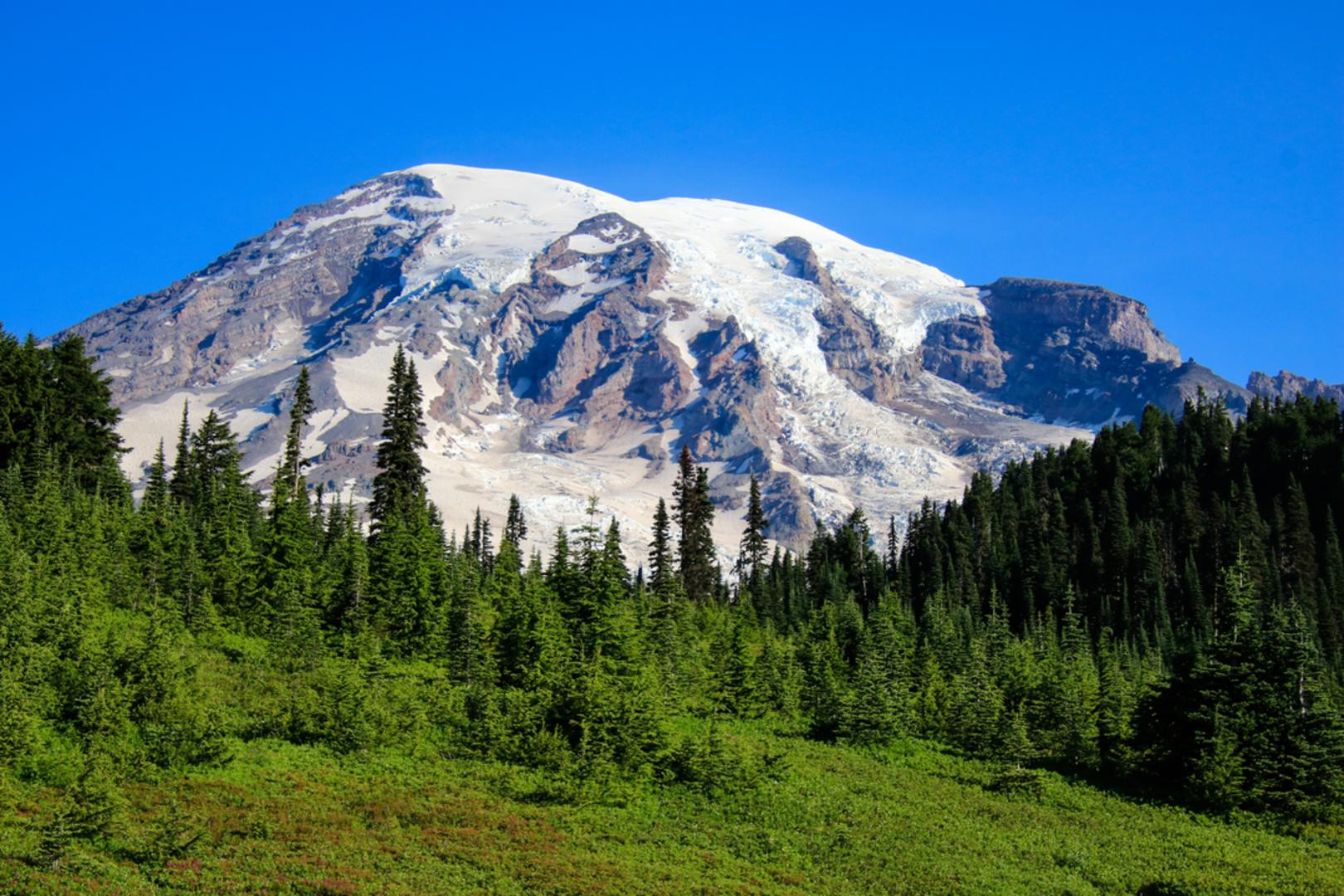 An image depicting the trail Rainier View Trail and its surrounding area.