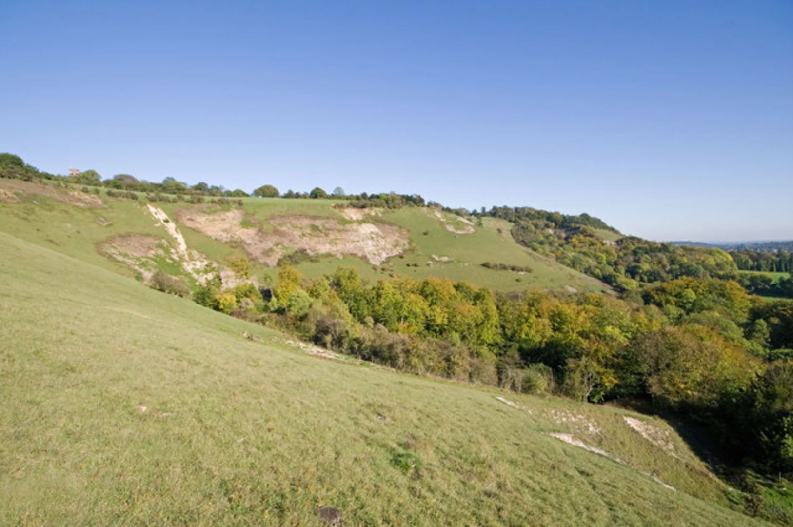 An image depicting the trail Colley Hill and its surrounding area.